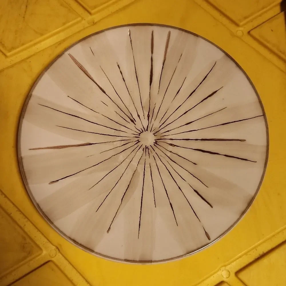 Pier 1 Sanctuary Salad Plate 8 3/8